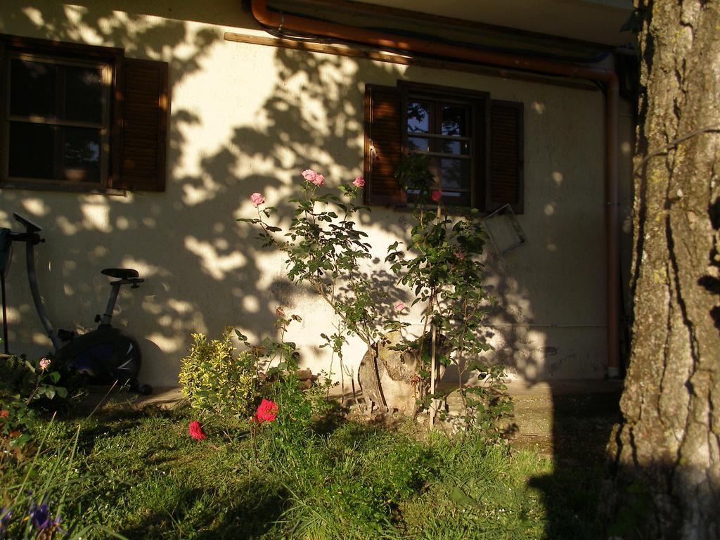 Bed And Breakfast Casale Isorella San Gemini Extérieur photo