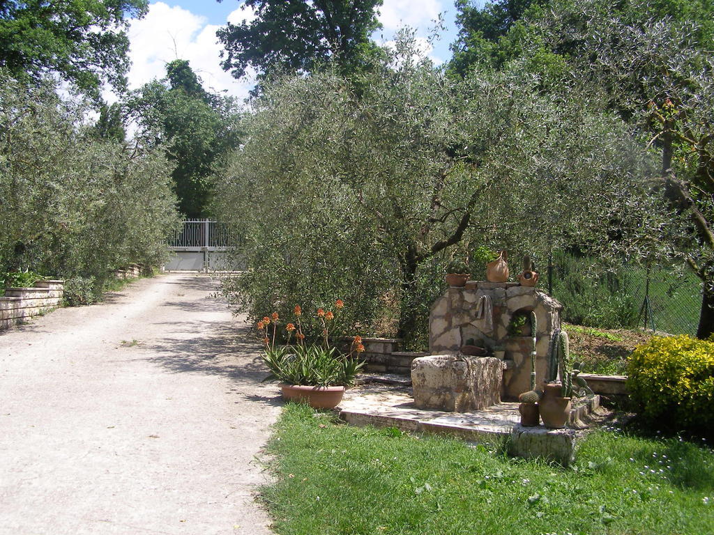 Bed And Breakfast Casale Isorella San Gemini Extérieur photo