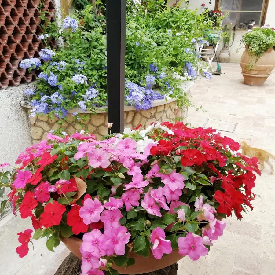 Bed And Breakfast Casale Isorella San Gemini Extérieur photo